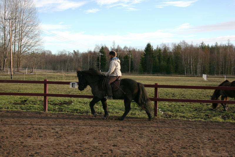 Saga14nov1102.JPG