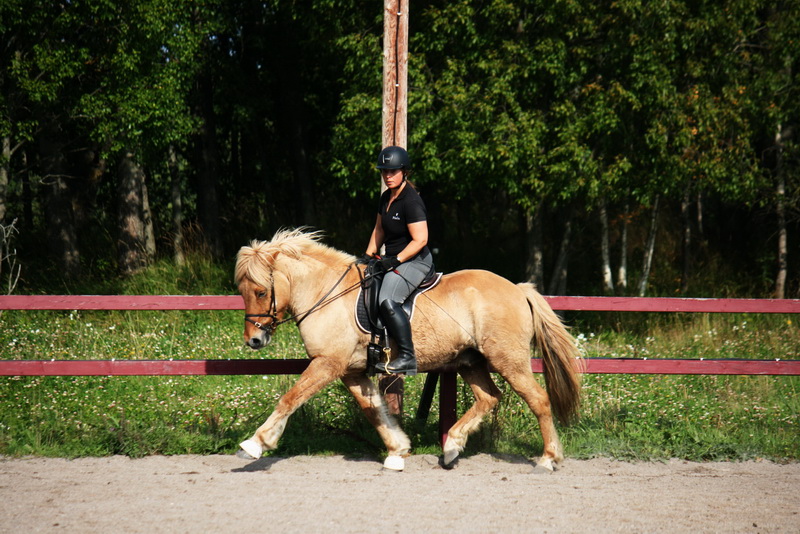 IMG_4525.JPG