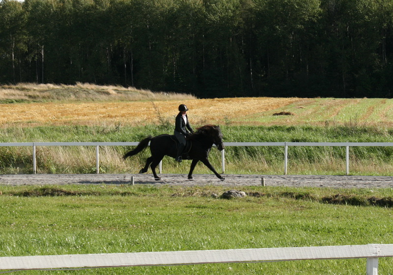 IMG_5188.JPG