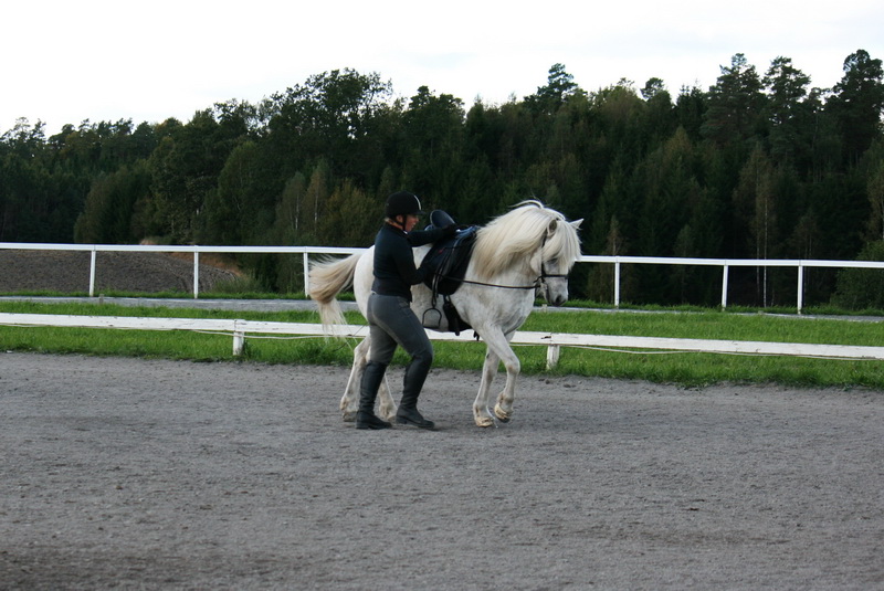 IMG_4553.JPG