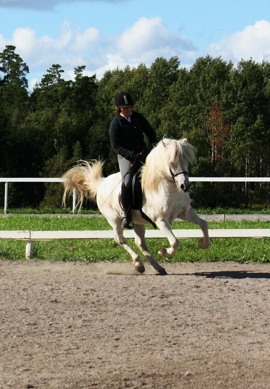 Valigaloppliten.JPG