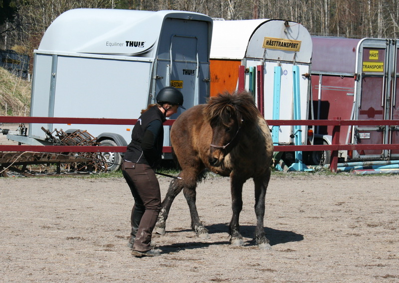Tindra 029liten.JPG