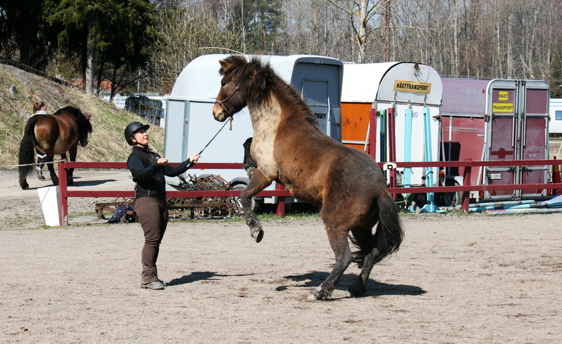 Tindra 041liten.JPG