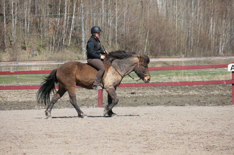 Tindra 088liten.JPG