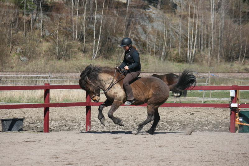 Tindra 159liten.JPG