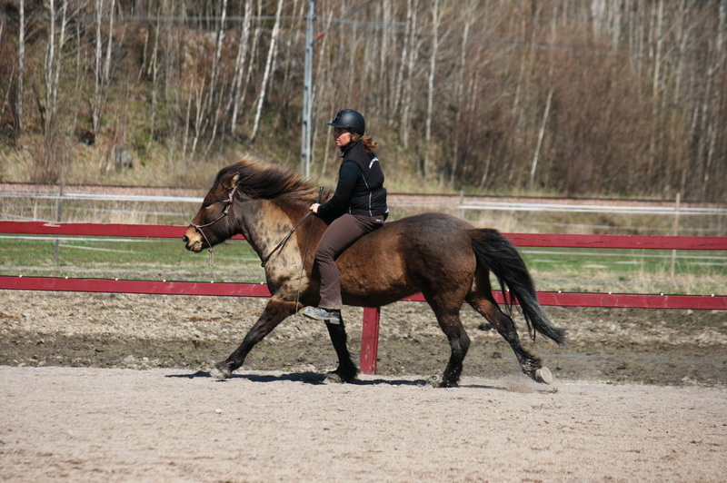 Tindra 207liten.JPG