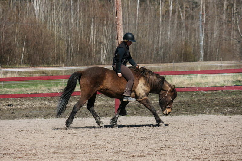 Tindra 258liten.JPG