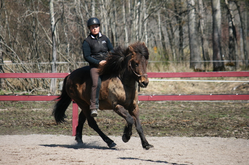Tindra 303liten.JPG