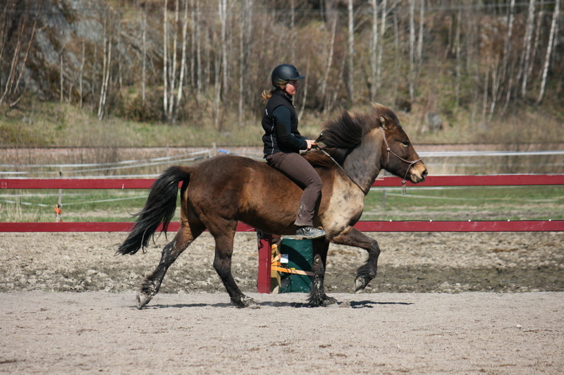 Tindra 316liten.JPG