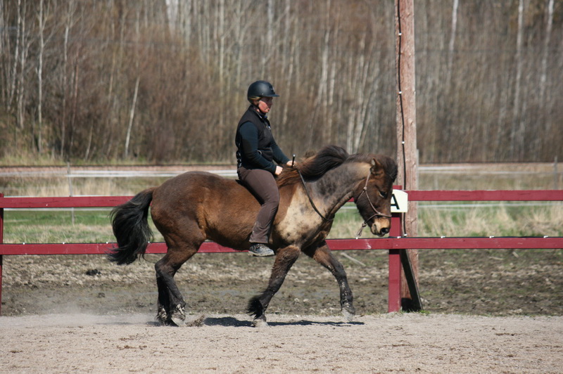 Tindra 320liten.JPG