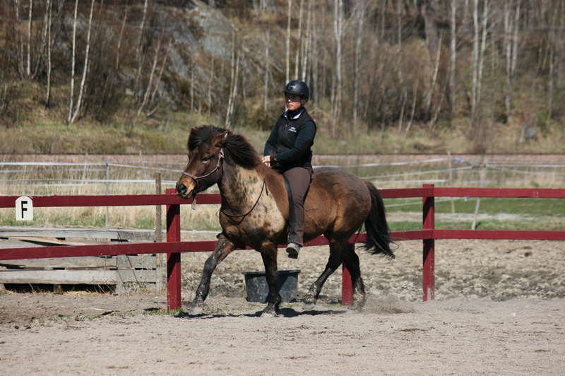 Tindra 367liten.JPG