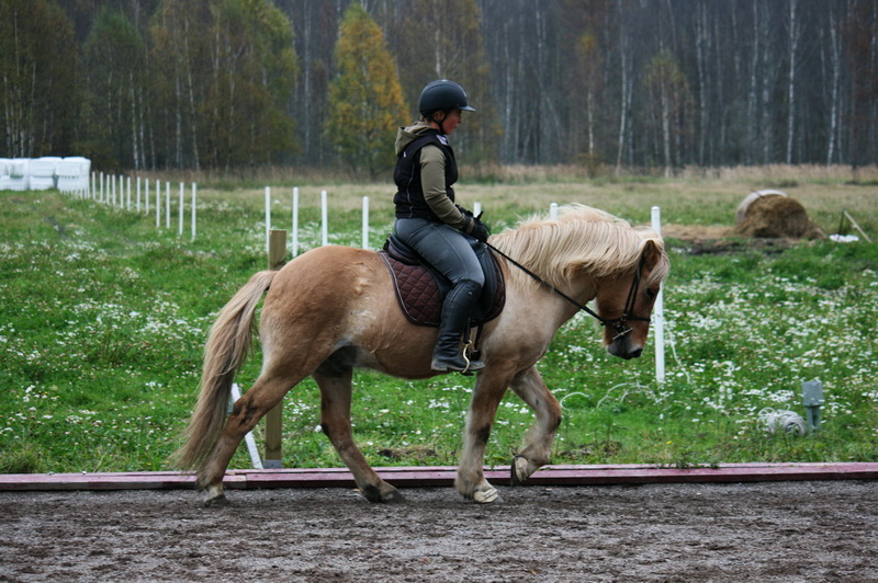 IMG_5259.JPG