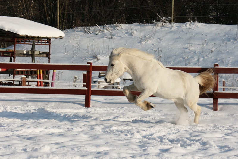 IMG_4540o.JPG