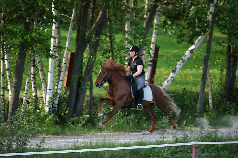 Exaktmaj 099.JPG