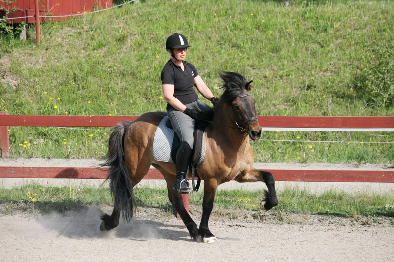 Leomaj 05.JPG