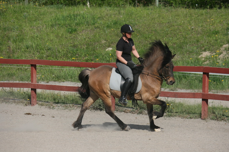 Leomaj 06.JPG