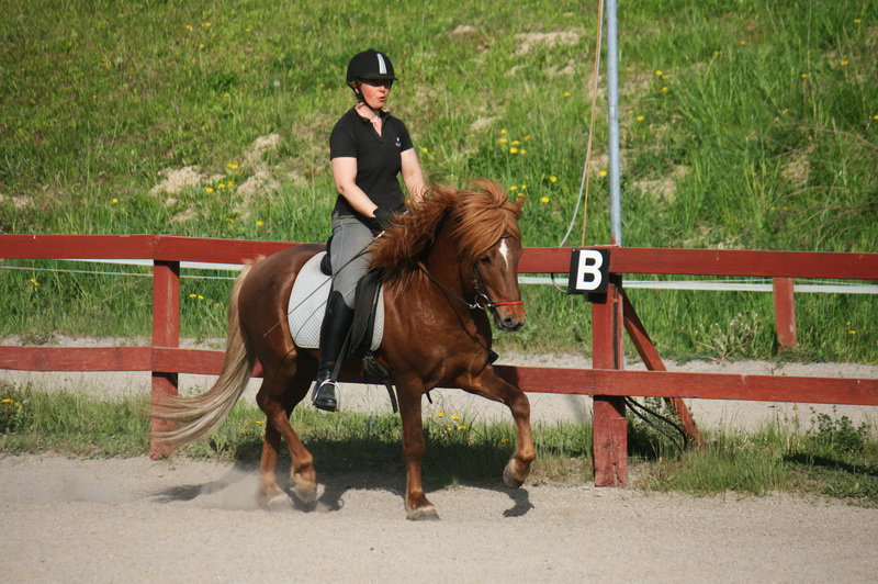Exaktmaj 082.JPG