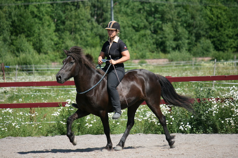 IMG_7080.JPG