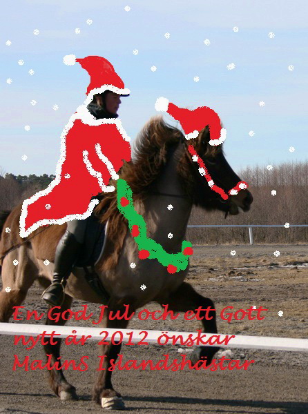 julbild2011.JPG