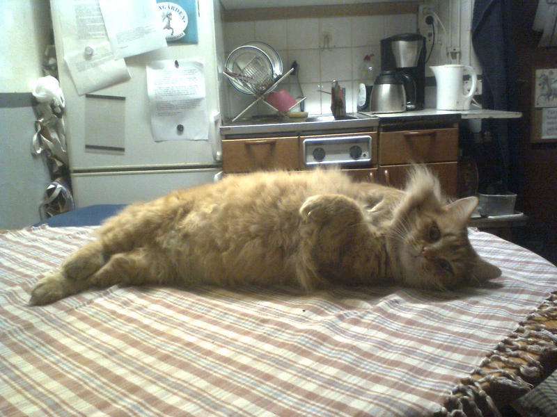 charlie