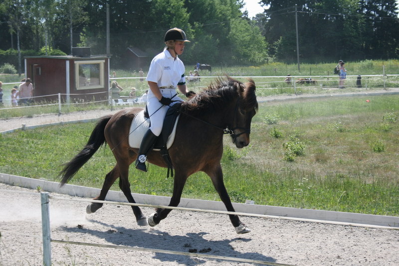 vallfariopen 068.jpg