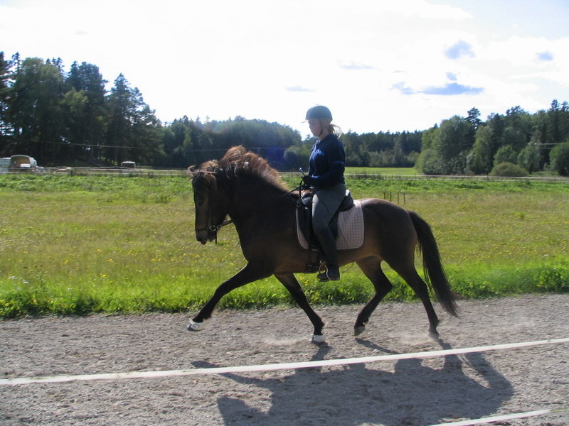dis19liten.jpg