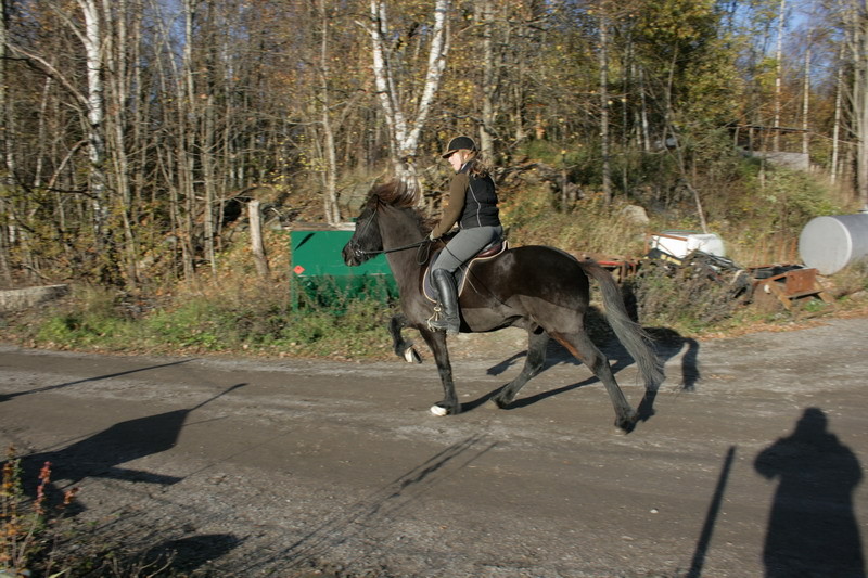 fakur22.JPG