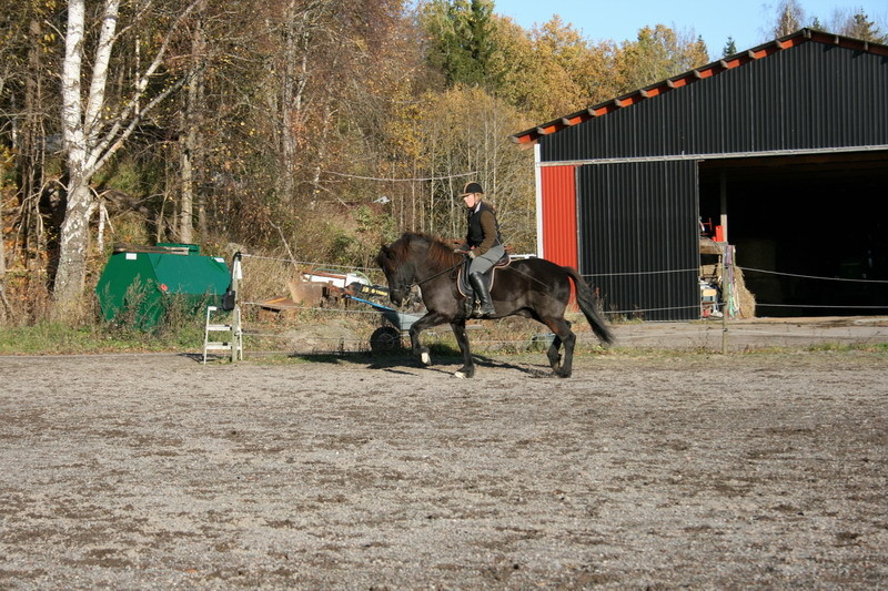 fakur24.JPG