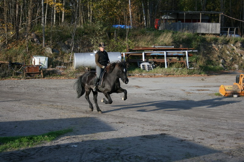 fakur54.JPG