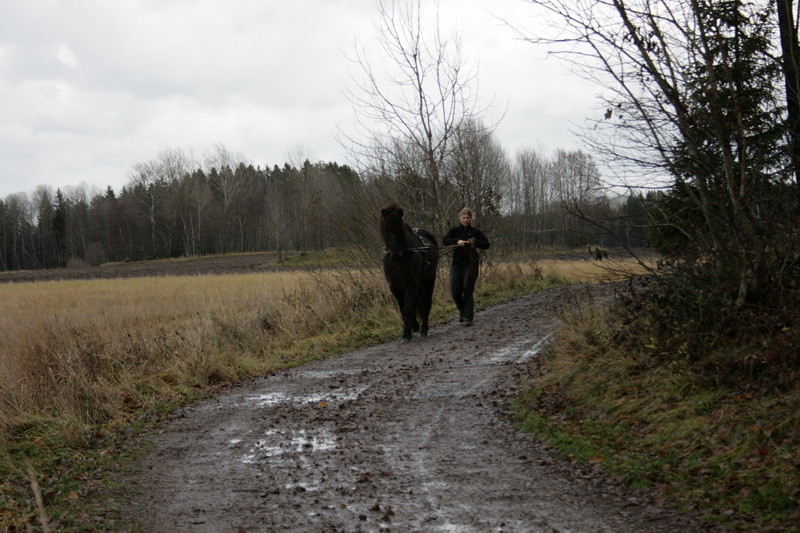 Gnov086.JPG