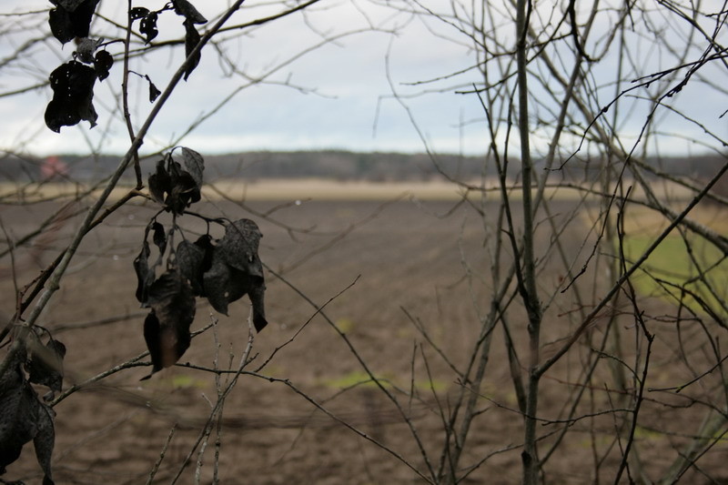 november083.JPG