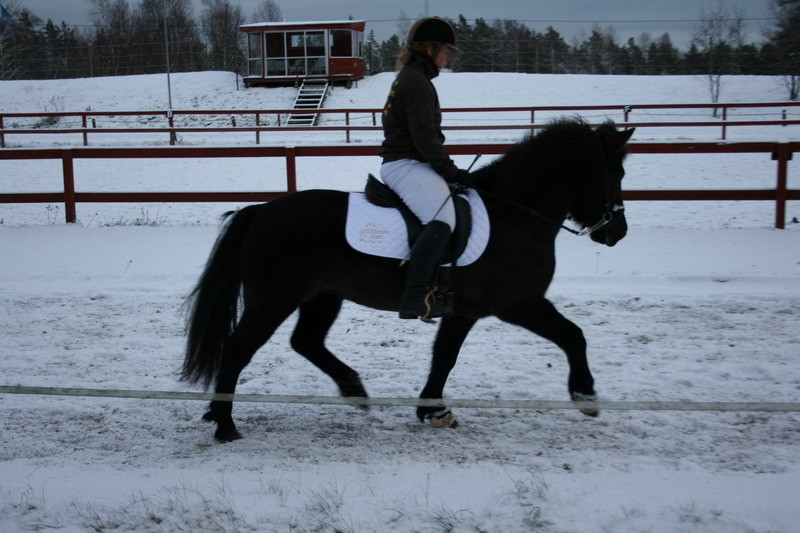 firmakeppni081.jpg
