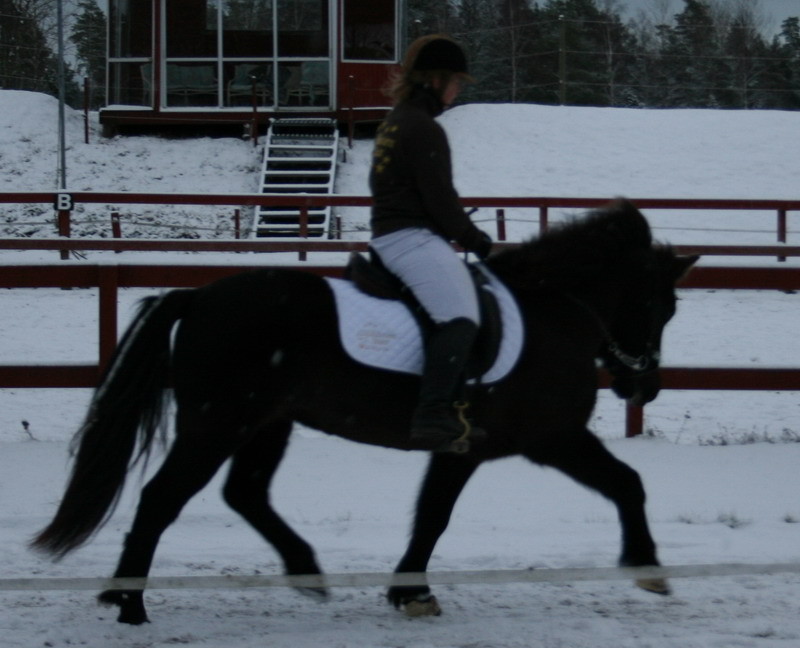 firmakeppni082.JPG
