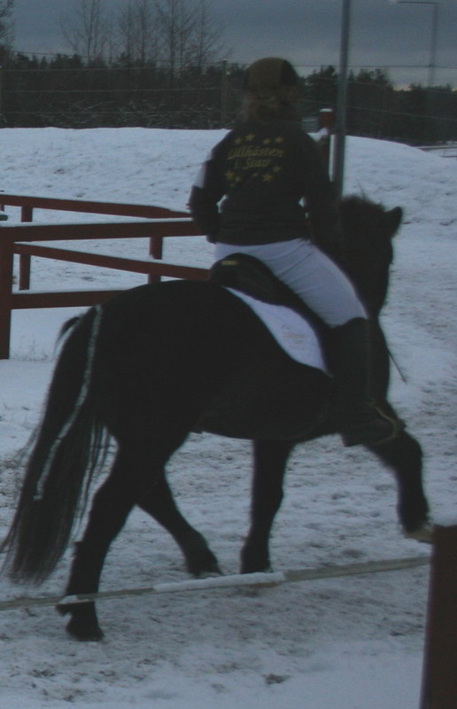 firmakeppni083.JPG