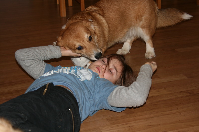 Julen 2008 011.jpg