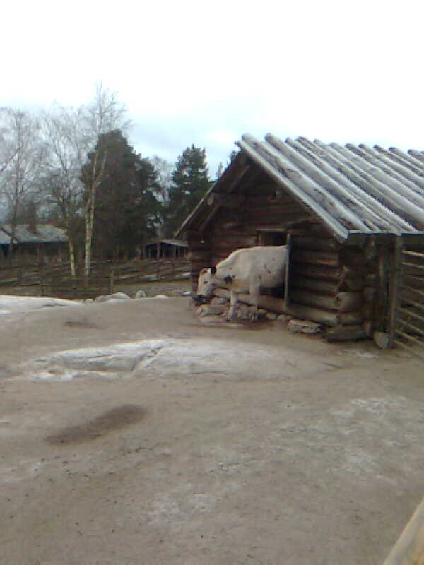 skansen1.jpg