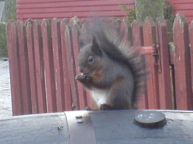 DSC00282.JPG