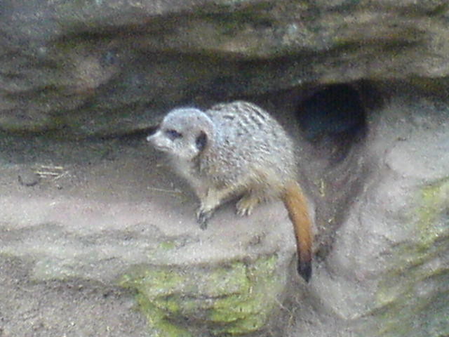 DSC00284.JPG