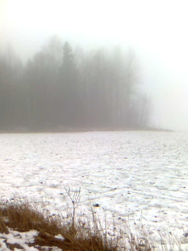 Bild018.jpg