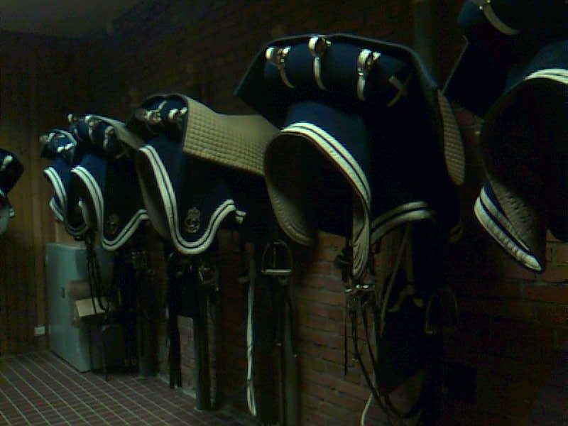 Bild019.jpg