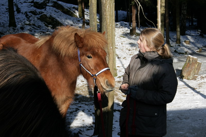 solfeb092.JPG