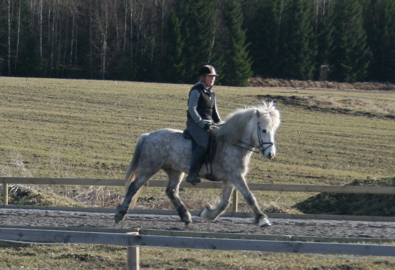 A04.jpg