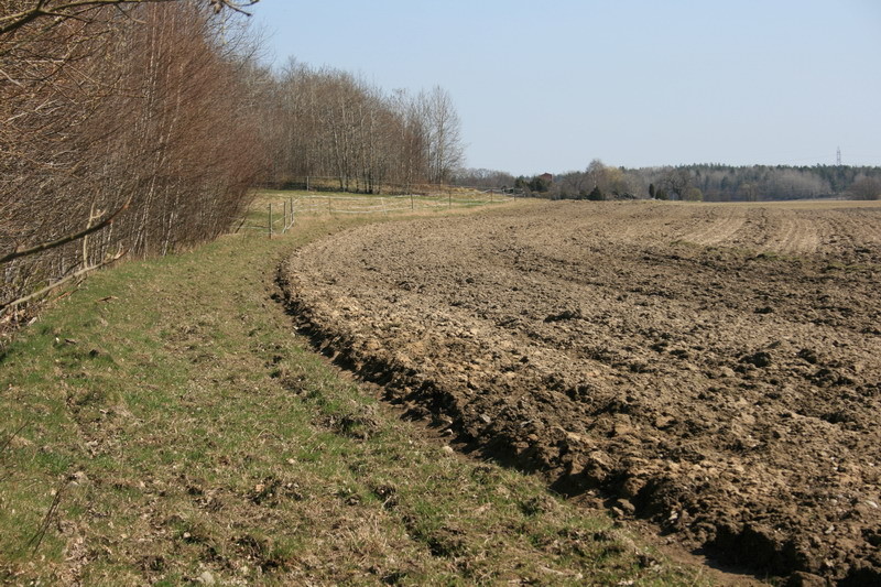 09042516.JPG