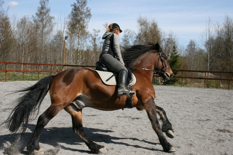 Pallemaj0904.JPG