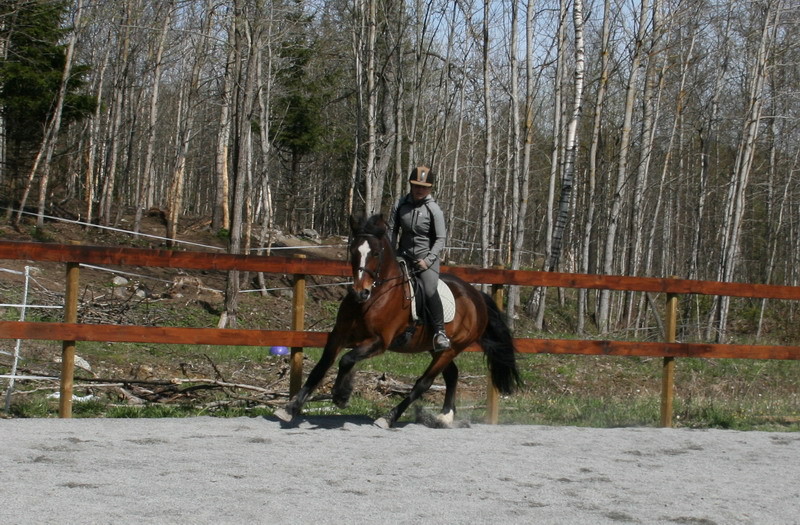 Pallemaj0909.JPG