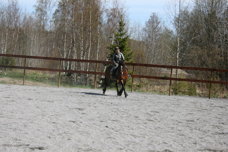 Pallemaj0914.JPG