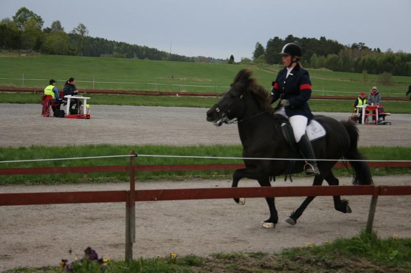 stormurvart3bfin04.JPG