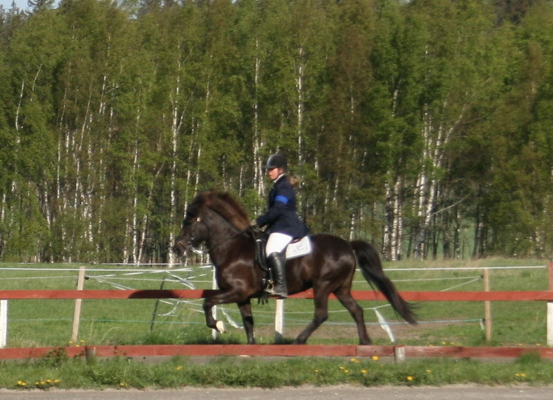 stormurvarv2bfin02.jpg
