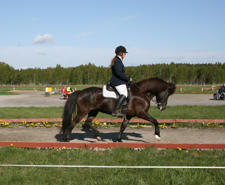 stormurvarv2bfin17.JPG