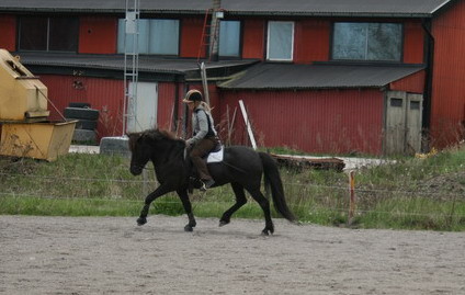Gnaamaj0906.JPG